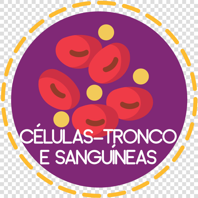 Células tronco E Sanguíneas   Sm Center Angono  HD Png DownloadTransparent PNG