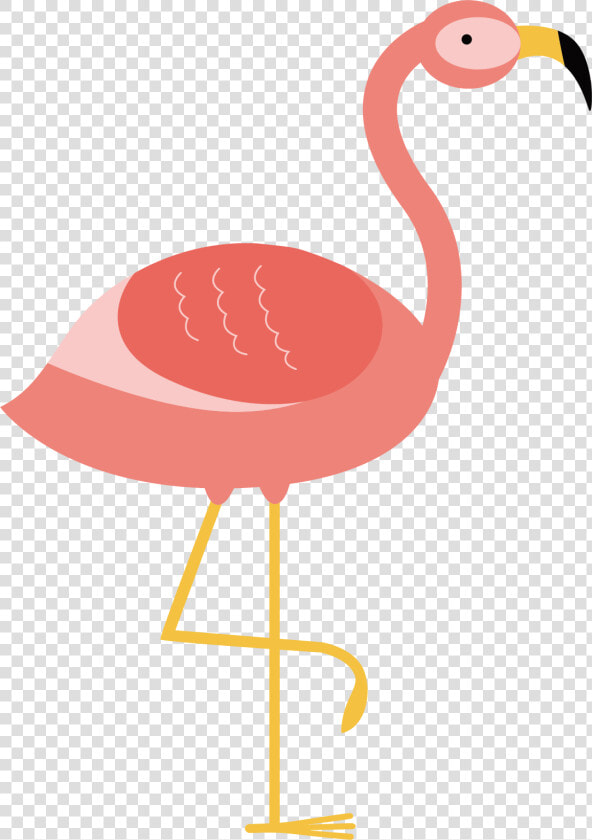 Flamingo Bird Illustration   Flamingo Vector Png  Transparent PngTransparent PNG