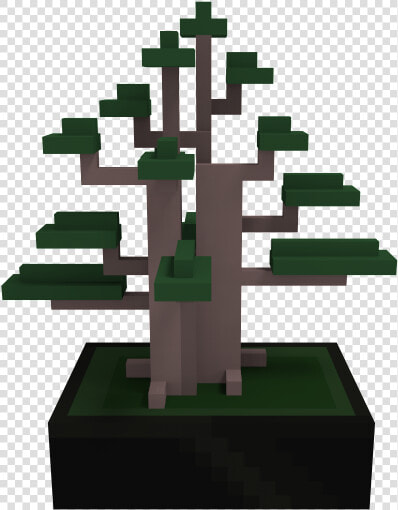 Spruce  HD Png DownloadTransparent PNG