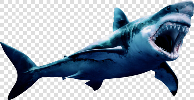 Download Free Png Megalodon Png Pic   Geometric Shark Painting  Transparent PngTransparent PNG