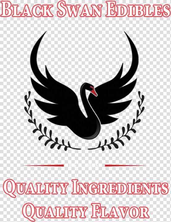 Image   Waterfowl  HD Png DownloadTransparent PNG