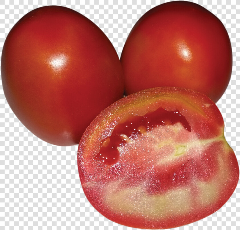 Red Tomato  Vegetables  Png  Images    Plum Tomato  Transparent PngTransparent PNG