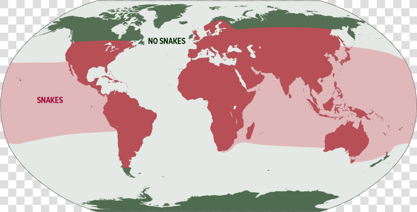 Countrys Dont Have Snakes  HD Png DownloadTransparent PNG