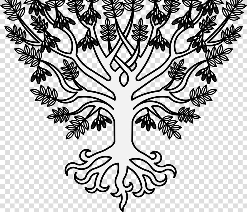 Port Drawing Tree   Ash Tree Heraldry  HD Png DownloadTransparent PNG