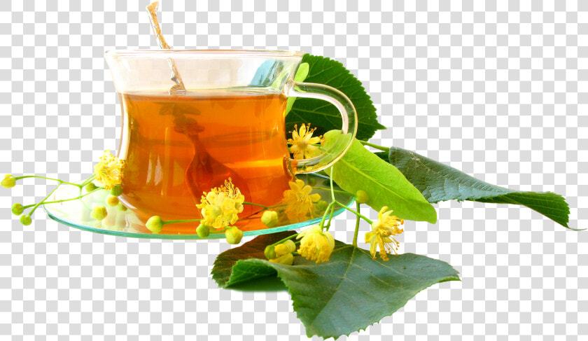 Herbal Tea Images Png  Transparent PngTransparent PNG