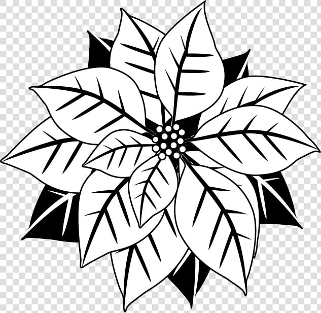 Poinsetta Clip Black And White   Poinsettia Black And White Png  Transparent PngTransparent PNG