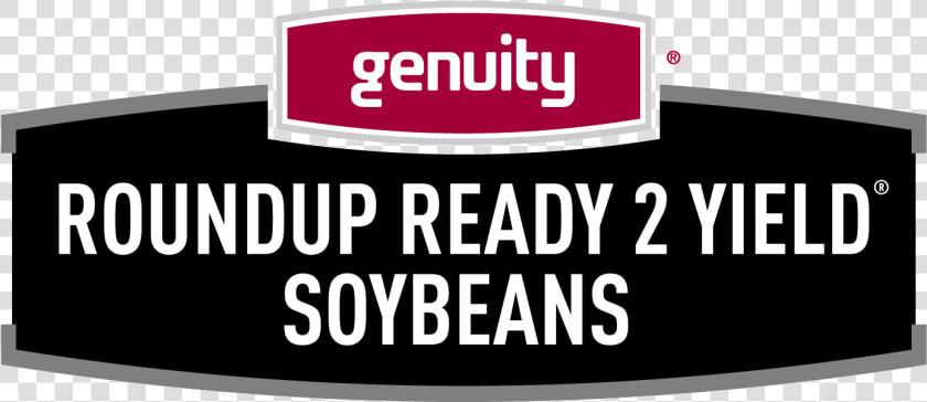 Transparent Soybeans Png  Png DownloadTransparent PNG