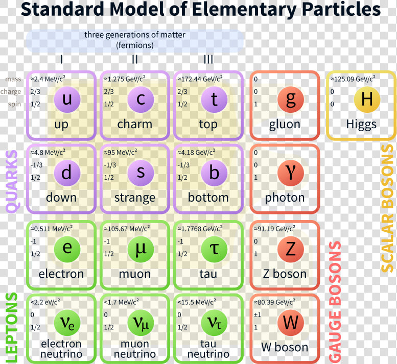 Standard Model Of Elementary Particles  HD Png DownloadTransparent PNG