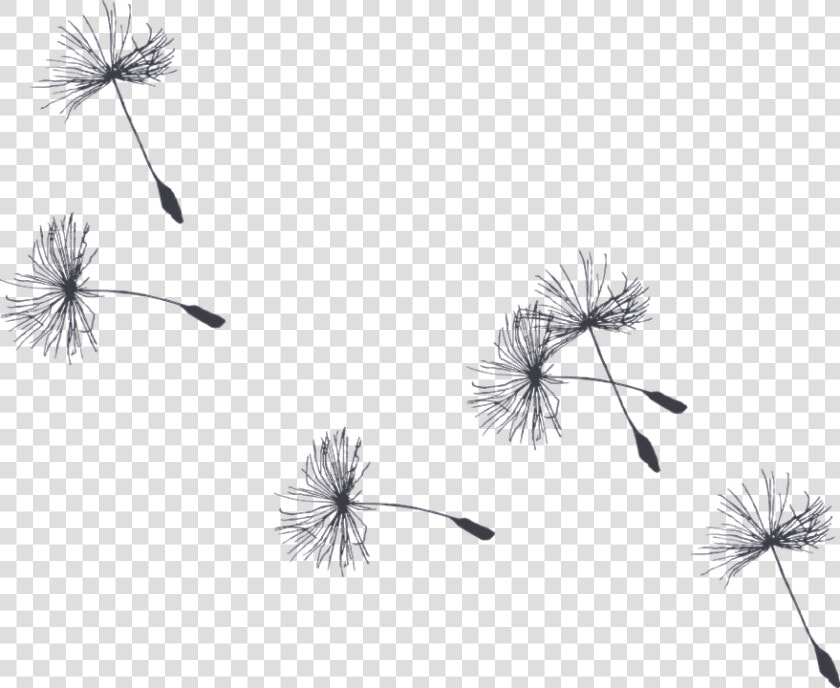 Burdock   Dandelion Gif Background Transparent  HD Png DownloadTransparent PNG