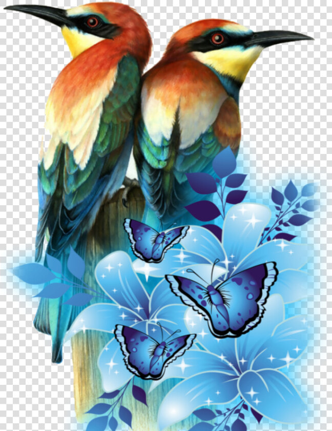  mq  birds  parrots  flying  flowers   Flower And Blue Butterfly Png  Transparent PngTransparent PNG