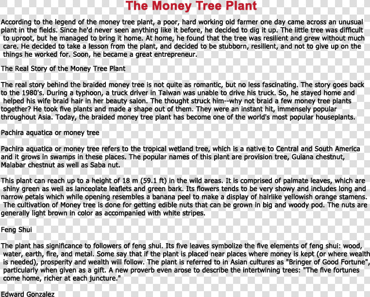 Jade Plant Feng Shui   Story Of Money Tree  HD Png DownloadTransparent PNG