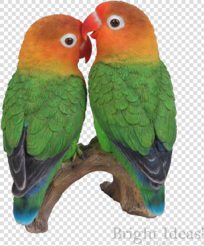 Love Birds Exotic True Life Vivid Arts Lovebirds   Lovebirds In Transparent Background  HD Png DownloadTransparent PNG