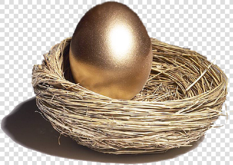 Download Nest Transparent Png   Egg In Nest Png  Png DownloadTransparent PNG