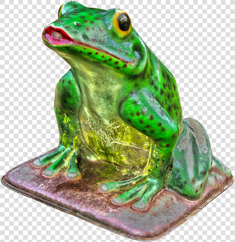 Frog Green Figure Free Picture   Green eyed Tree Frog  HD Png DownloadTransparent PNG