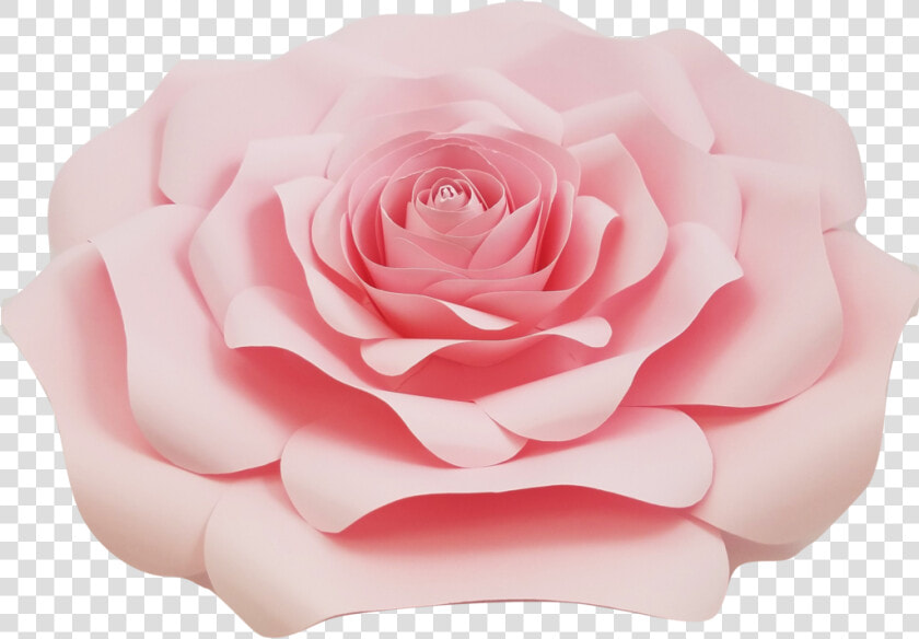 Light Pink Rose Png   Light Pink Roses Png  Transparent PngTransparent PNG