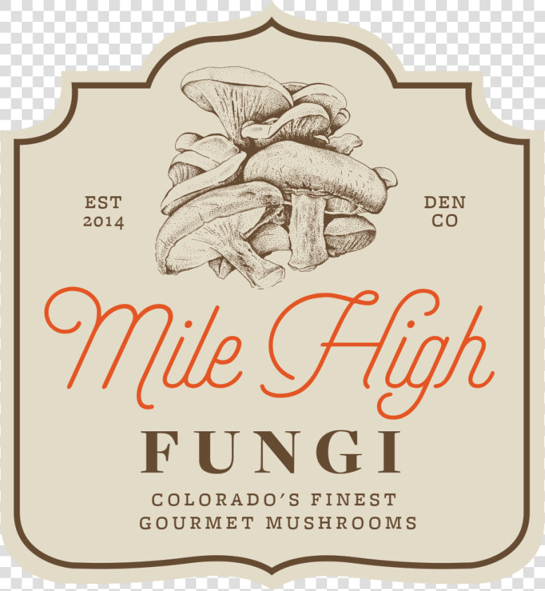 Milehighfungi   Fungus  HD Png DownloadTransparent PNG