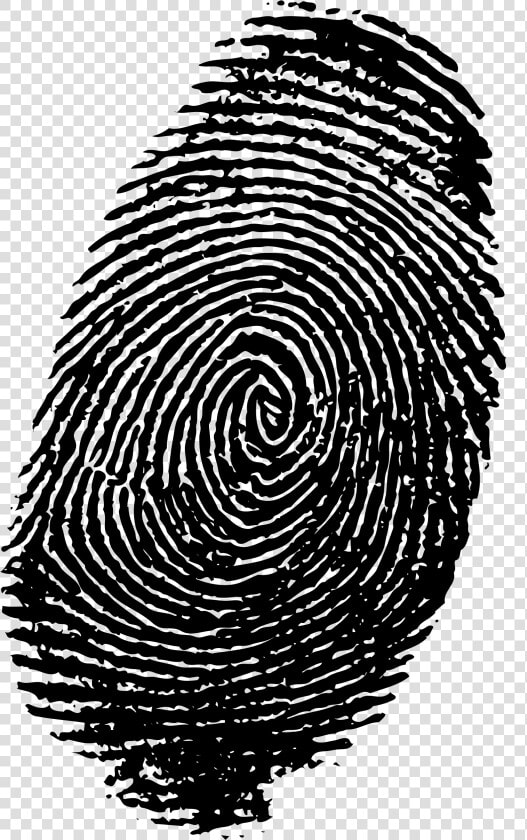 Finger Print Png   Transparent Background Fingerprint Png  Png DownloadTransparent PNG