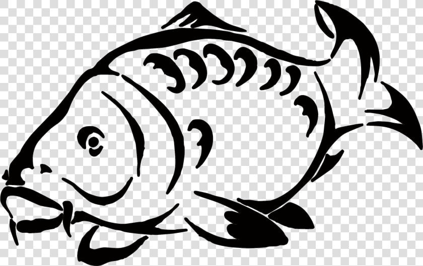 Tuna Fish Clipart Black And White Clip Free Library   Carp Fish Drawing  HD Png DownloadTransparent PNG