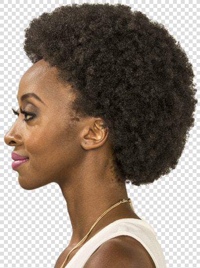 Afro   African Woman Hair Png  Transparent PngTransparent PNG