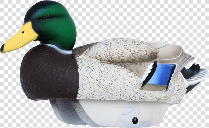 Lifetime Decoys Flex Float Mallards  HD Png DownloadTransparent PNG