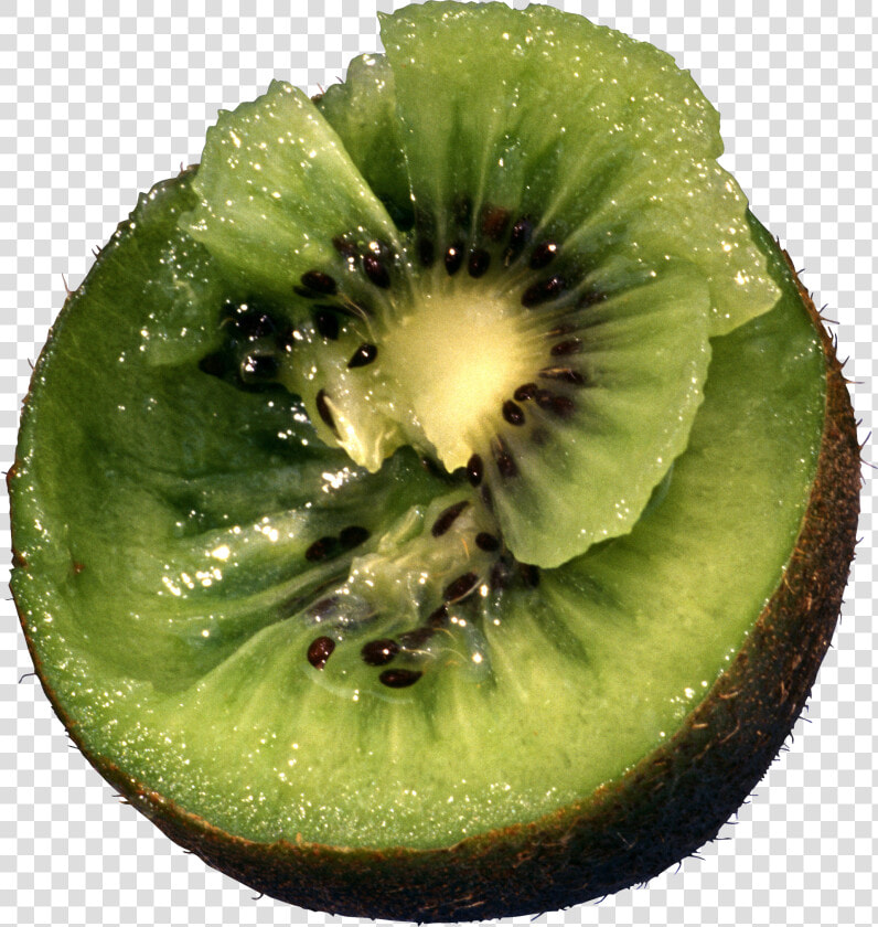 Kiwifruit green hardy   Kiwifruit Tree In Png  Transparent PngTransparent PNG