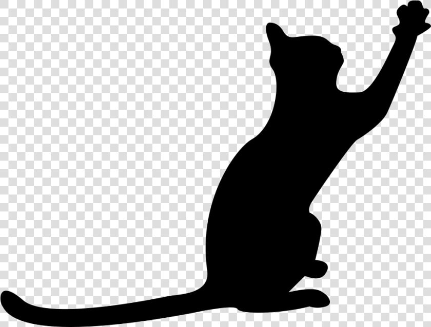 Cat Black Silhouette With Extended Tail And One Paw   Cat Silhouette Paw Up  HD Png DownloadTransparent PNG