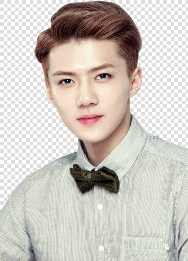 Transparent Sehun Png   Sehun And Luhan Relationship  Png DownloadTransparent PNG