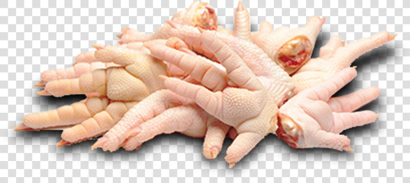 Transparent Pollo Png   Chicken Feet Food Raw  Png DownloadTransparent PNG