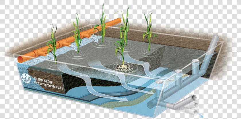 Aerated Vertical Flow Wetlands  HD Png DownloadTransparent PNG