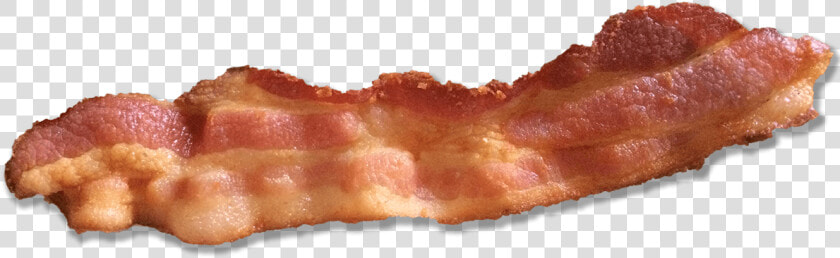 Transparent Bacon Png   Single Strip Of Bacon  Png DownloadTransparent PNG