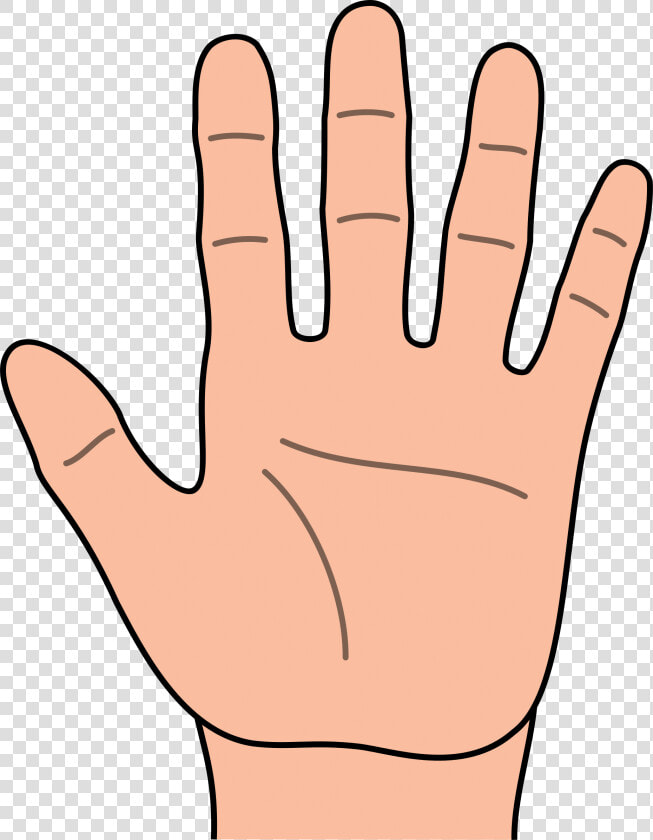 Touch Hand Clipart   Hand Clipart  HD Png DownloadTransparent PNG