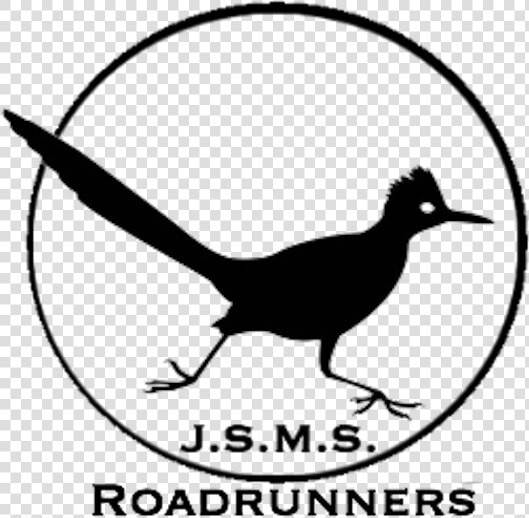 Black And White Roadrunner Clipart  HD Png DownloadTransparent PNG