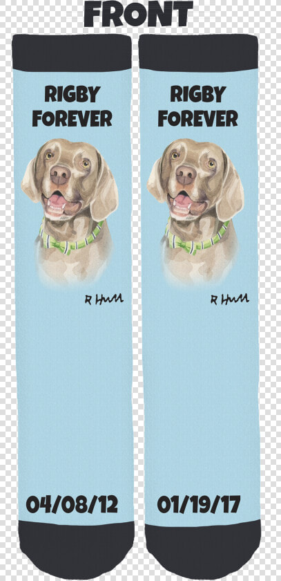 Weimaraner  HD Png DownloadTransparent PNG