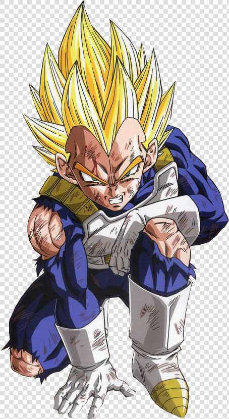 Transparent Dragon Ball Z Characters Png   Dragon Ball Z Vegeta  Png DownloadTransparent PNG