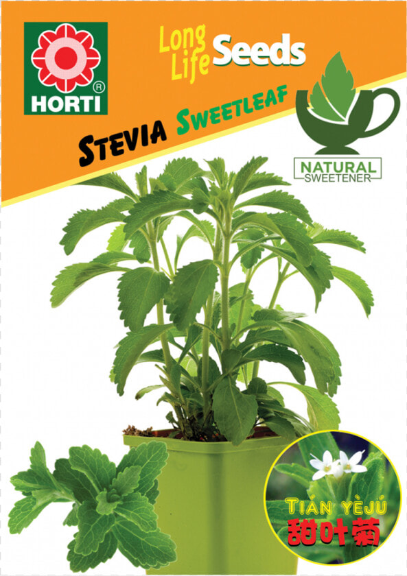 Stevia Png  Transparent PngTransparent PNG