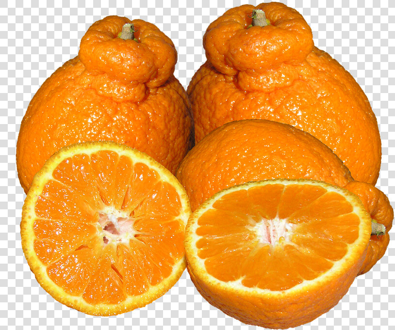 Mandarins  Citrus  Fruit   Rangpur  HD Png DownloadTransparent PNG