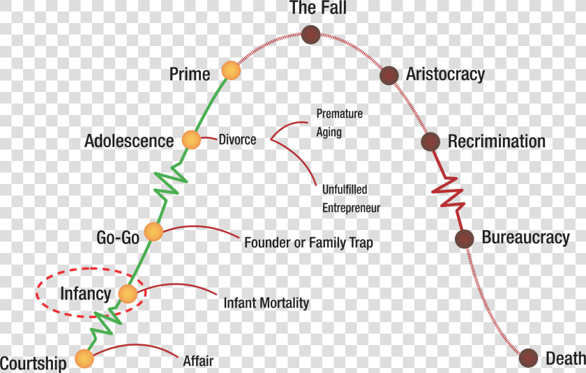 Adizes Corporate Lifecycle Model  HD Png DownloadTransparent PNG