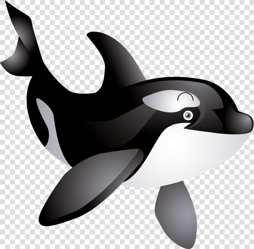 Eyes Clipart Whale   Free Killer Whale Clip Art  HD Png DownloadTransparent PNG