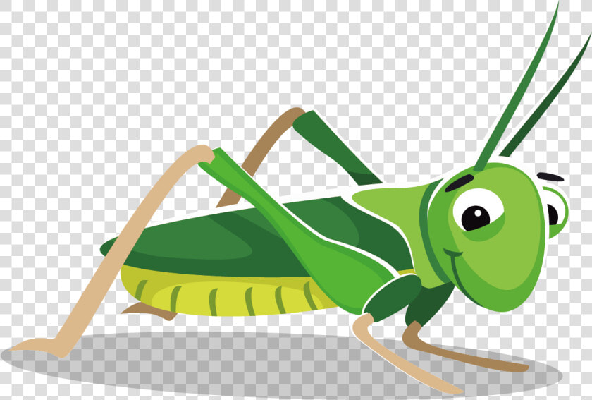 Grasshopper At Getdrawings Com Free For Personal   Grasshopper Clipart Png  Transparent PngTransparent PNG