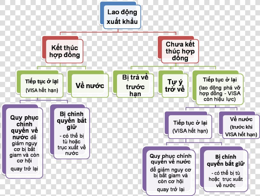 Employment Paths Of Migrant Workers   Quy Trình Ứng Phó Tai Nạn Lao Động  HD Png DownloadTransparent PNG