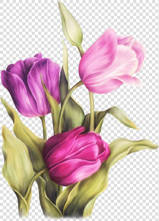 Fleurs Bouquets Flowers Flores   Flower Colour Pencil Drawing  HD Png DownloadTransparent PNG