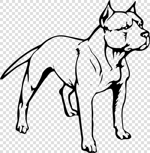 American Pit Bull Terrier Puppy American Bully   Easy Pitbull Dog Drawing  HD Png DownloadTransparent PNG