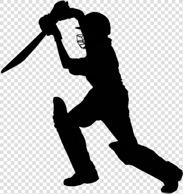 Cricket Vector Png   Cricket Clipart Png  Transparent PngTransparent PNG