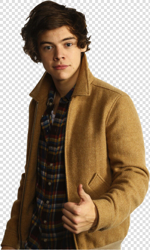 Transparent Harry Styles Full Body Png   Harry Styles Merry Christmas  Png DownloadTransparent PNG