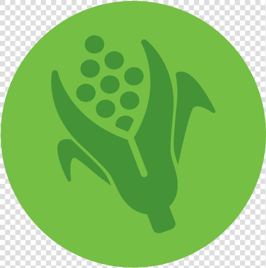 Agriculture Food And Natural Resources Transparent  HD Png DownloadTransparent PNG