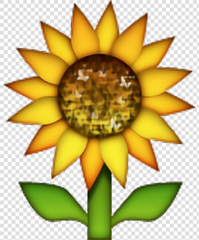 Sunflower Emoji Flowers Freetoedit   Sunflower Emoji Png  Transparent PngTransparent PNG