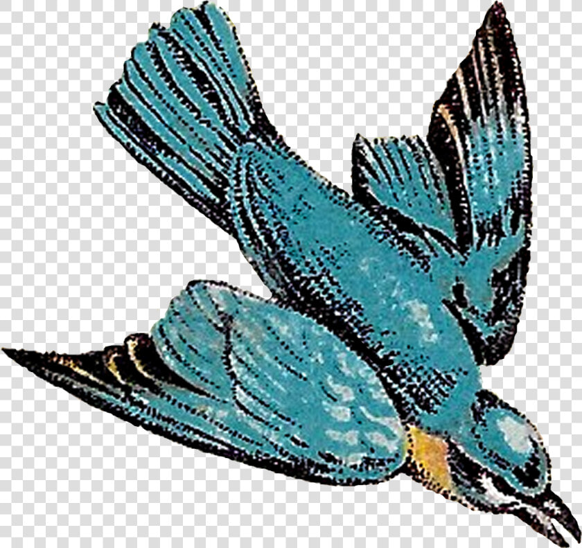 Vintage Bird Flying Illustration  HD Png DownloadTransparent PNG