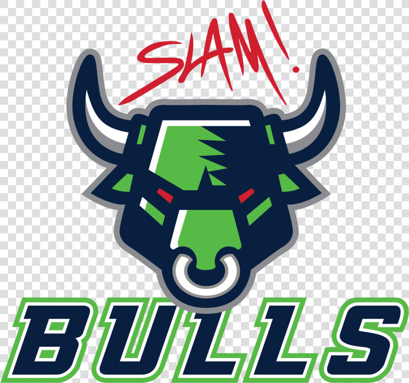 School Logo   Slam Bulls  HD Png DownloadTransparent PNG