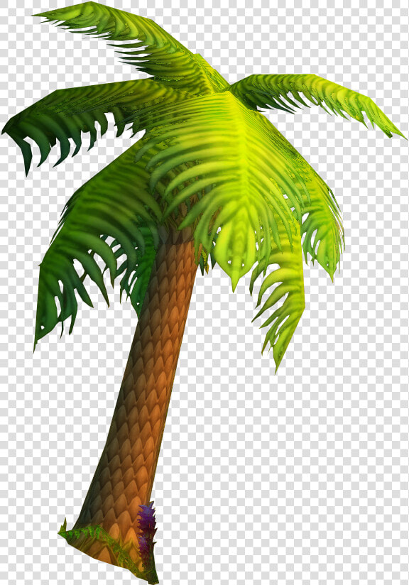 Stranglethorn Vale palm Tree   Roystonea  HD Png DownloadTransparent PNG