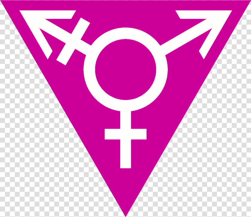 Magenta Transgender Triangle wide   Transgender Feminism  HD Png DownloadTransparent PNG